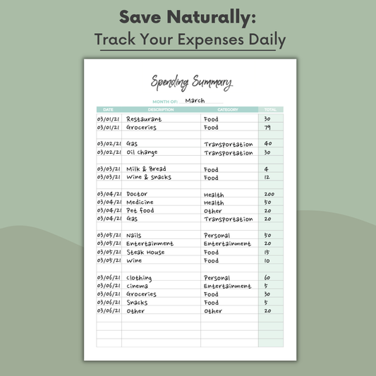 The Budget Book - Financial Planner