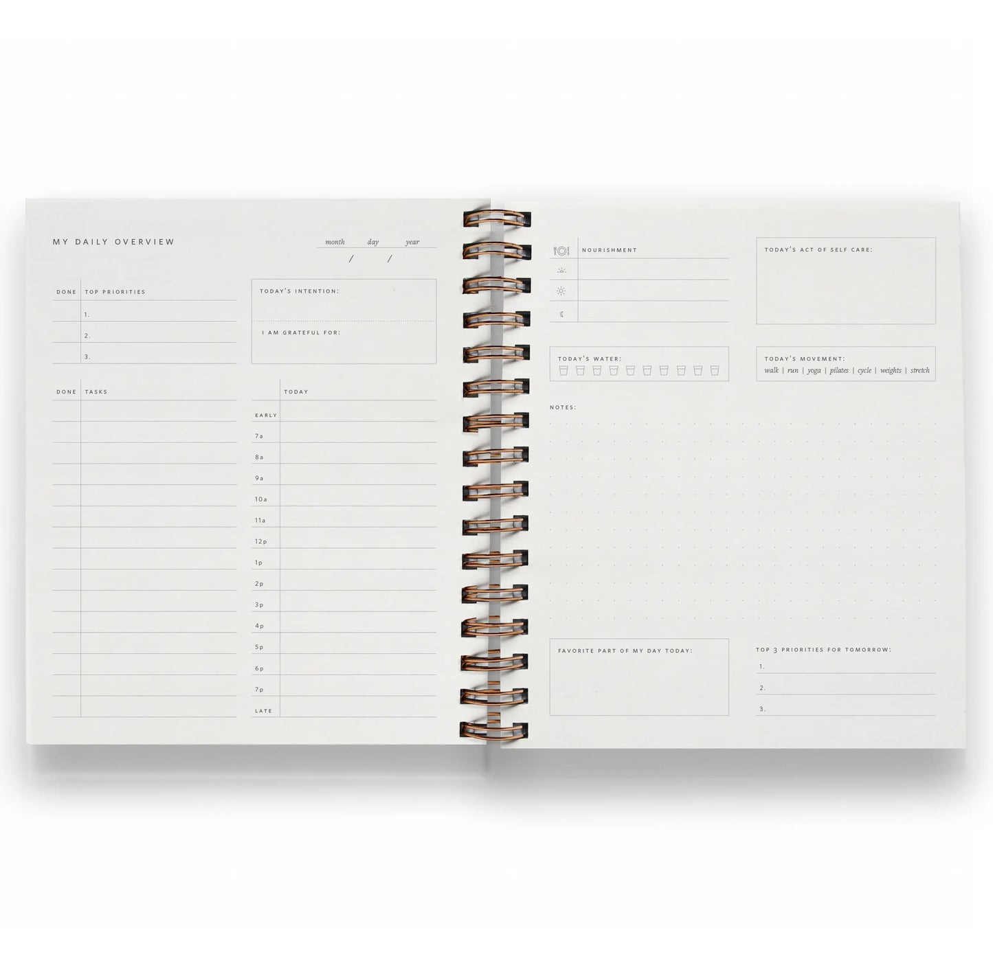 Daily Overview Planner in Dusty Rose