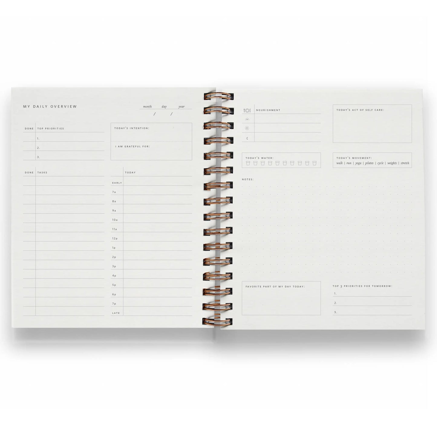 Daily Overview Planner in Light Sage